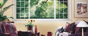 pair of slider windows in a sitting room